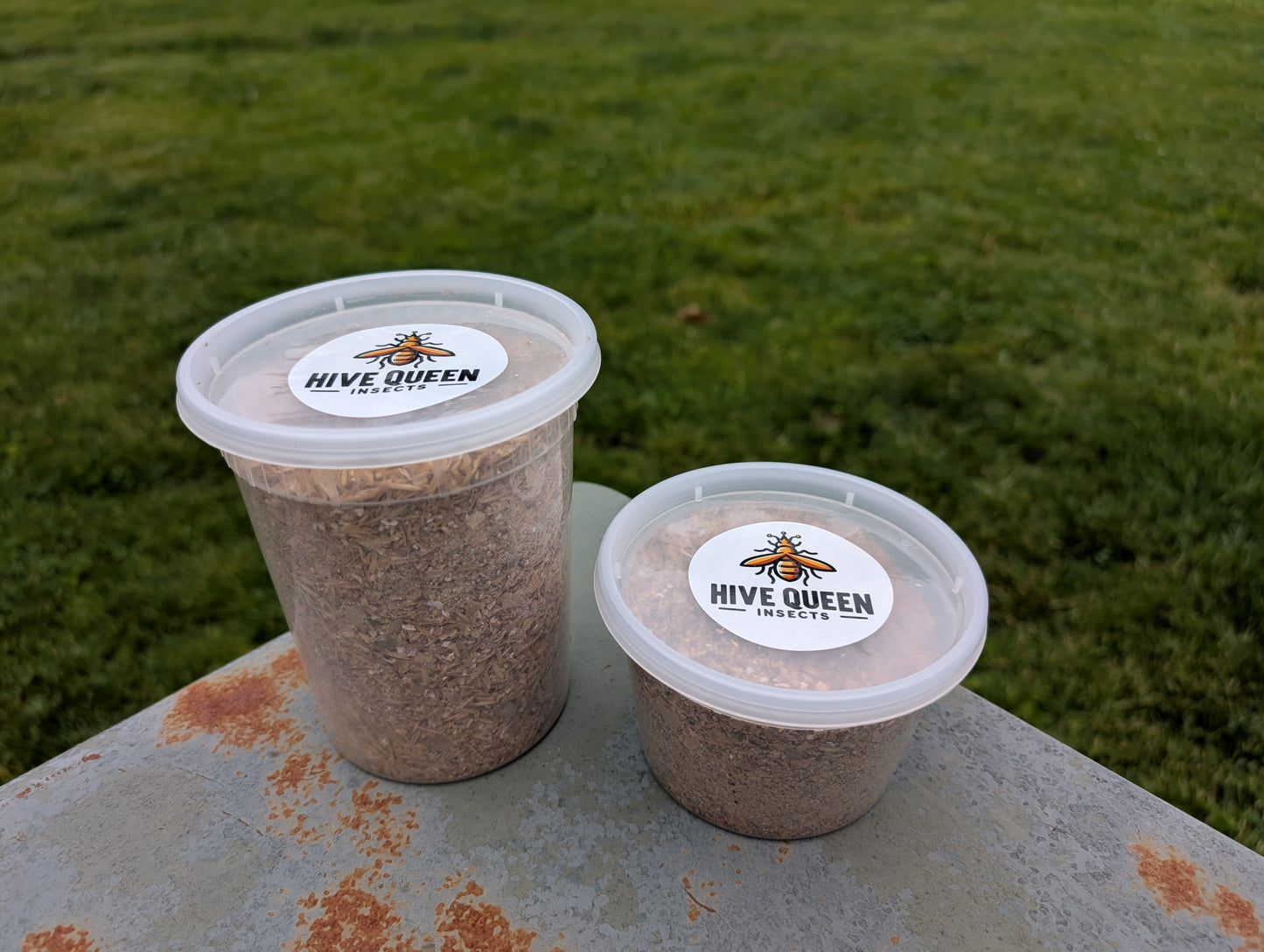 Dubia Chow (high-calcium dry food for Dubia Roaches)