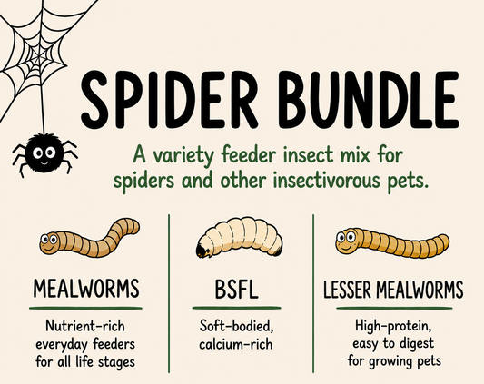 Spider Bundle - Tiny Mealworms, Tiny BSFL, and Lesser Mealworms