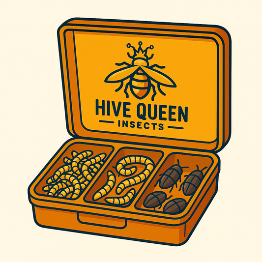 Variety Pack (Live Organic Mealworms, Superworms, Dubia Roaches, and Black Soldier Fly Larvae (BSFL))